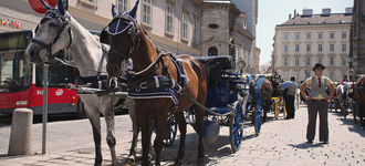 Horse-Drawn Carriages in Vienna