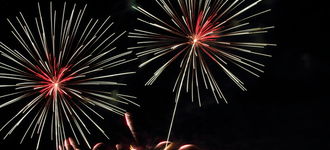 Fireworks “Flowers” I