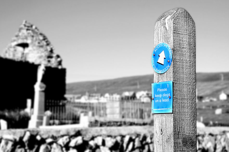 The Blue Route (Splash Of Colour)