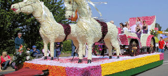 Horse & Carriage at Spalding Flower Festival
