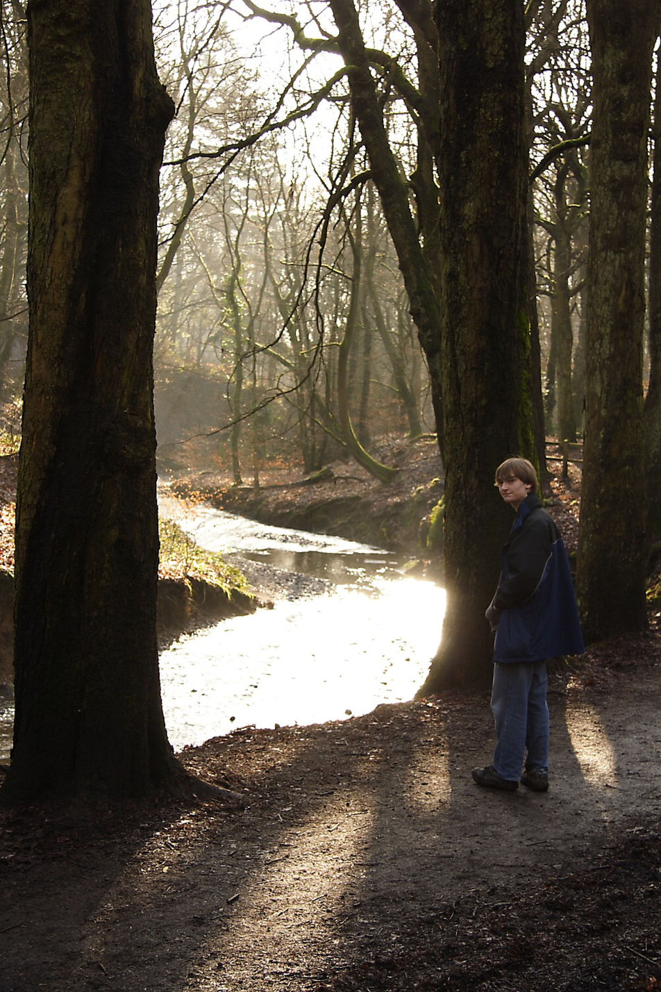 Borsdane Wood