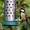 Great Tit On Peanut Feeder At Leighton Moss