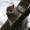 Grey Squirrel in Alkrington Woods